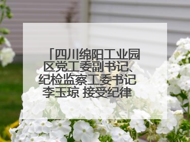 四川绵阳工业园区党工委副书记、纪检监察工委书记李玉琼 接受纪律审查和监察调查
