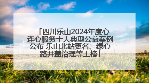 四川乐山2024年度心连心服务十大典型公益案例公布 乐山北站更名、绿心路井盖治理等上榜