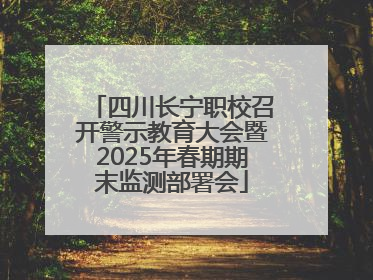 四川长宁职校召开警示教育大会暨2025年春期期末监测部署会
