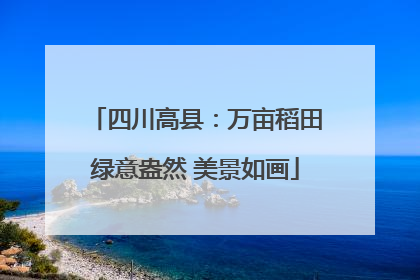四川高县：万亩稻田绿意盎然 美景如画