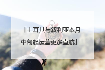 土耳其与叙利亚本月中旬起运营更多直航