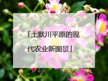 土默川平原的现代农业新图景