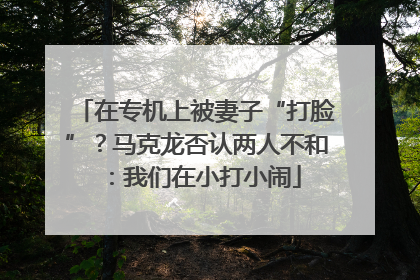 在专机上被妻子“打脸”？马克龙否认两人不和：我们在小打小闹