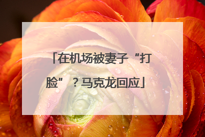 在机场被妻子“打脸”？马克龙回应