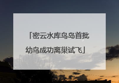 密云水库鸟岛首批幼鸟成功离巢试飞