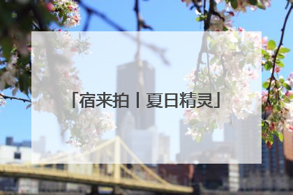 宿来拍丨夏日精灵