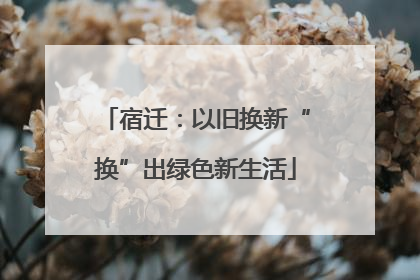 宿迁：以旧换新“换”出绿色新生活