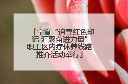 宁夏“追寻红色印记 汇聚奋进力量”职工区内疗休养线路推介活动举行