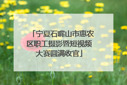 宁夏石嘴山市惠农区职工摄影暨短视频大赛圆满收官