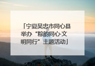 宁夏吴忠市同心县举办“粽韵同心·文明同行”主题活动