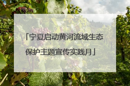 宁夏启动黄河流域生态保护主题宣传实践月
