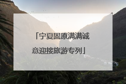 宁夏固原满满诚意迎接旅游专列