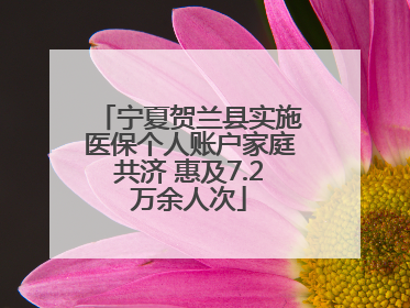 宁夏贺兰县实施医保个人账户家庭共济 惠及7.2万余人次