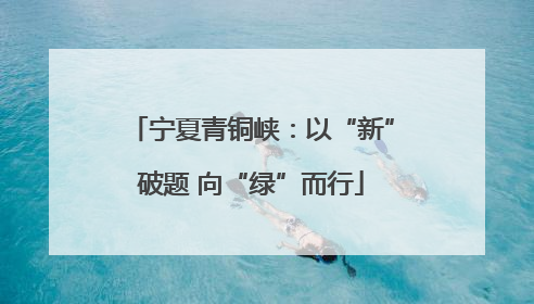 宁夏青铜峡：以“新”破题 向“绿”而行