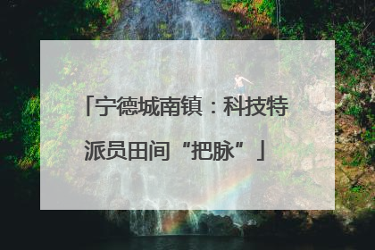 宁德城南镇：科技特派员田间“把脉”