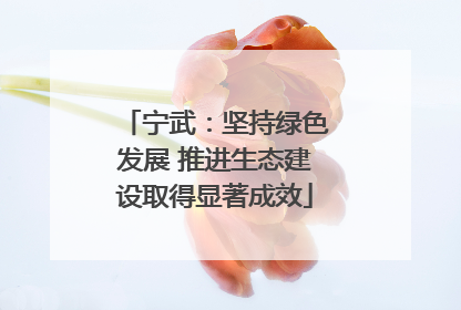 宁武：坚持绿色发展 推进生态建设取得显著成效