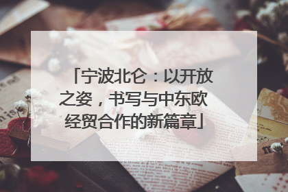 宁波北仑：以开放之姿，书写与中东欧经贸合作的新篇章