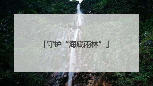 守护“海底雨林”