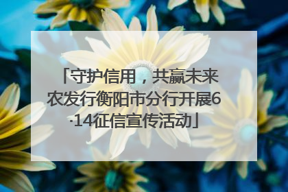 守护信用，共赢未来 农发行衡阳市分行开展6·14征信宣传活动