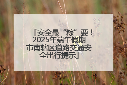 安全最“粽”要！2025年端午假期市南辖区道路交通安全出行提示
