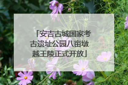 安吉古城国家考古遗址公园八亩墩越王陵正式开放