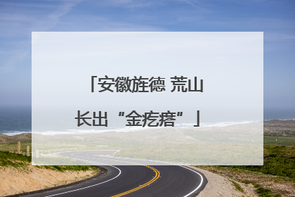 安徽旌德 荒山长出“金疙瘩”