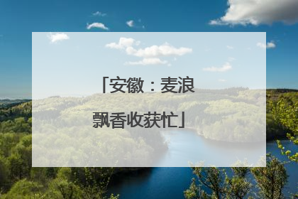 安徽：麦浪飘香收获忙