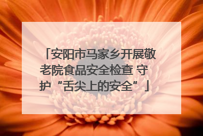 安阳市马家乡开展敬老院食品安全检查 守护“舌尖上的安全”