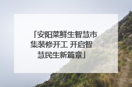 安阳菜鲜生智慧市集装修开工 开启智慧民生新篇章