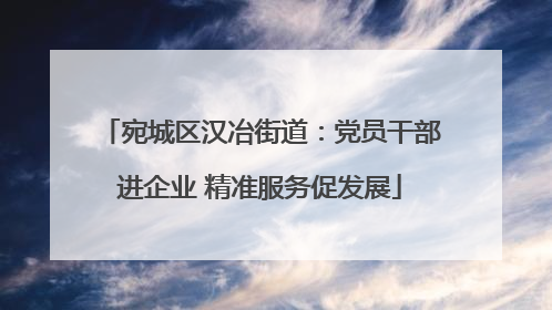 宛城区汉冶街道：党员干部进企业 精准服务促发展