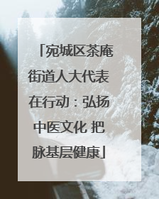 宛城区茶庵街道人大代表在行动：弘扬中医文化 把脉基层健康