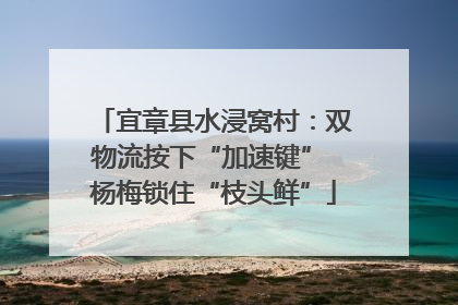 宜章县水浸窝村：双物流按下“加速键” 杨梅锁住“枝头鲜”