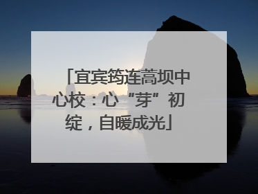 宜宾筠连蒿坝中心校：心“芽”初绽，自暖成光