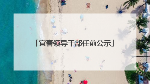 宜春领导干部任前公示