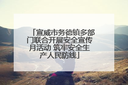 宣威市务德镇多部门联合开展安全宣传月活动 筑牢安全生产人民防线