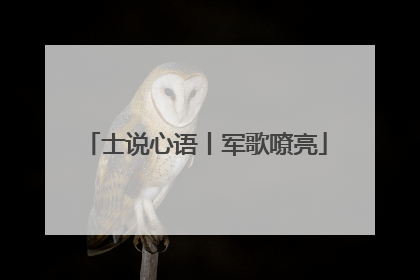 士说心语丨军歌嘹亮