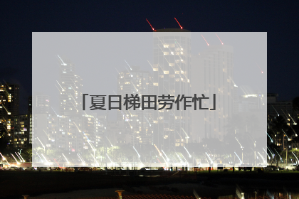 夏日梯田劳作忙