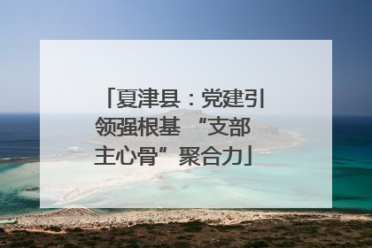 夏津县：党建引领强根基 “支部主心骨”聚合力