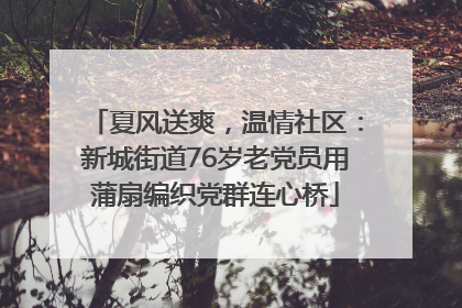 夏风送爽，温情社区：新城街道76岁老党员用蒲扇编织党群连心桥