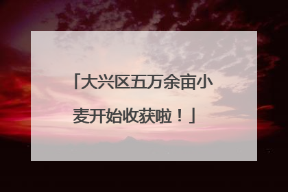 大兴区五万余亩小麦开始收获啦！