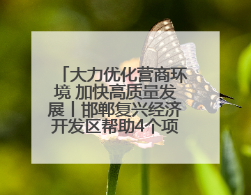 大力优化营商环境 加快高质量发展丨邯郸复兴经济开发区帮助4个项目及时落地
