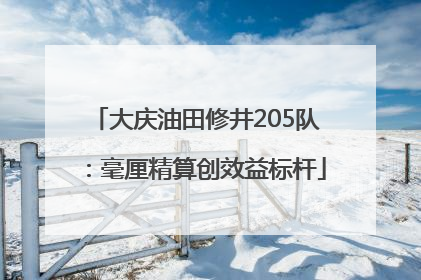 大庆油田修井205队：毫厘精算创效益标杆