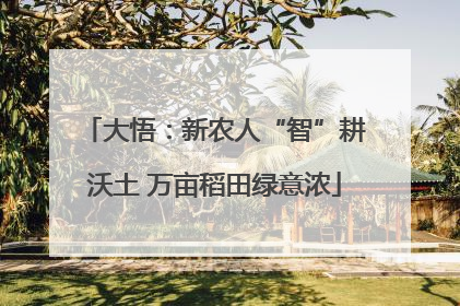 大悟：新农人“智”耕沃土 万亩稻田绿意浓