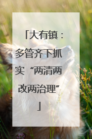 大有镇：多管齐下抓实“两清两改两治理”