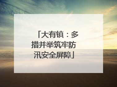 大有镇：多措并举筑牢防汛安全屏障
