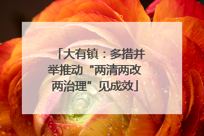 大有镇：多措并举推动“两清两改两治理”见成效