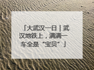 大武汉一日｜武汉地铁上，满满一车全是“宝贝”