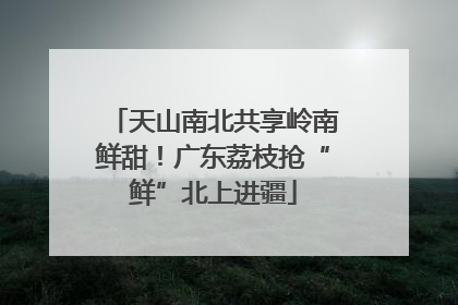 天山南北共享岭南鲜甜！广东荔枝抢“鲜”北上进疆