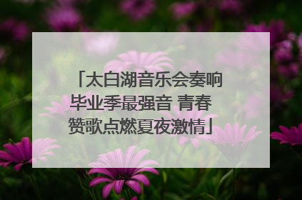 太白湖音乐会奏响毕业季最强音 青春赞歌点燃夏夜激情