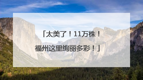 太美了！11万株！福州这里绚丽多彩！